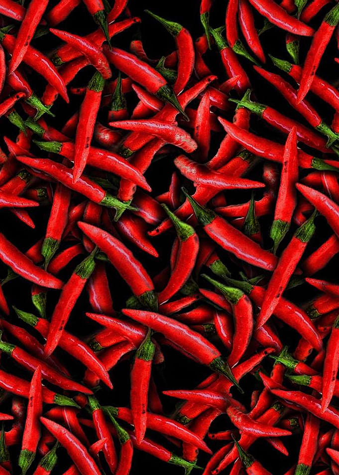 Red Chili Peppers