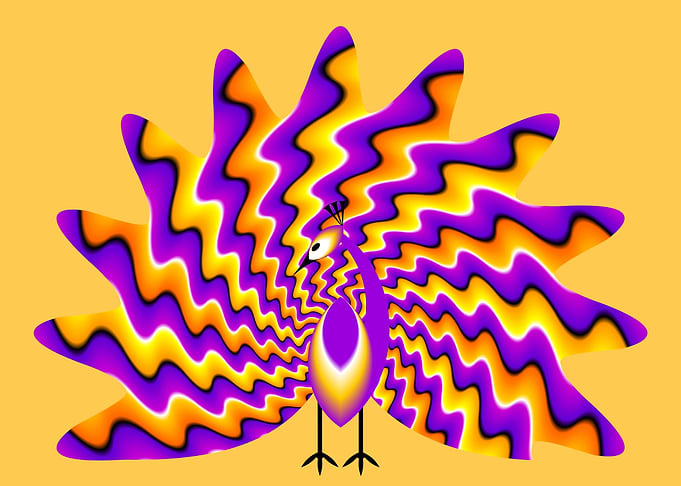 Peacock