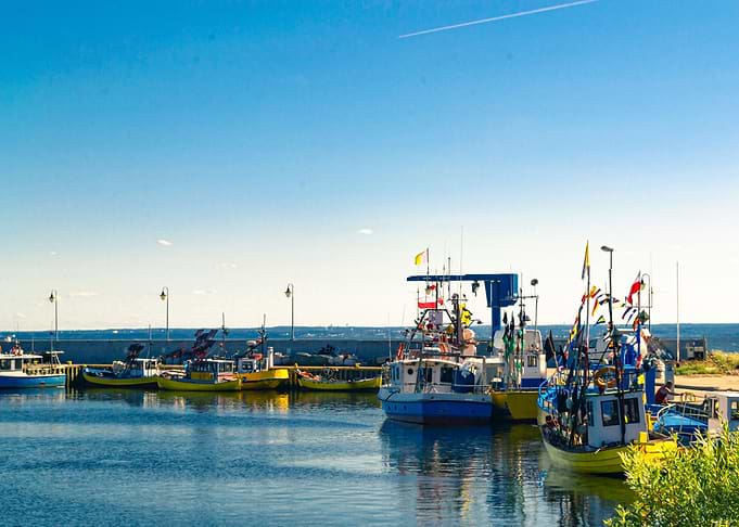 Fishing boats