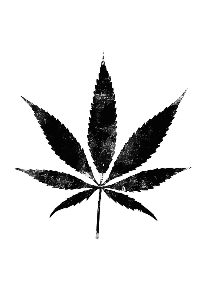 Marihuana leaf