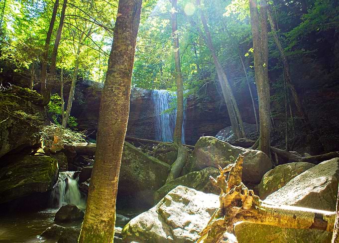 Cucumber Falls Surrounding