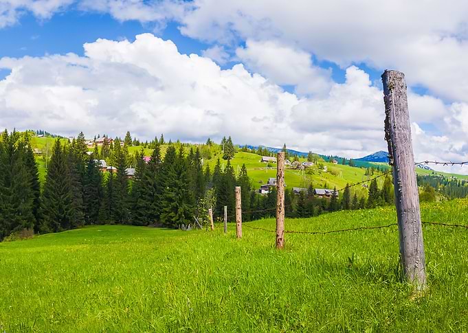 Old fence