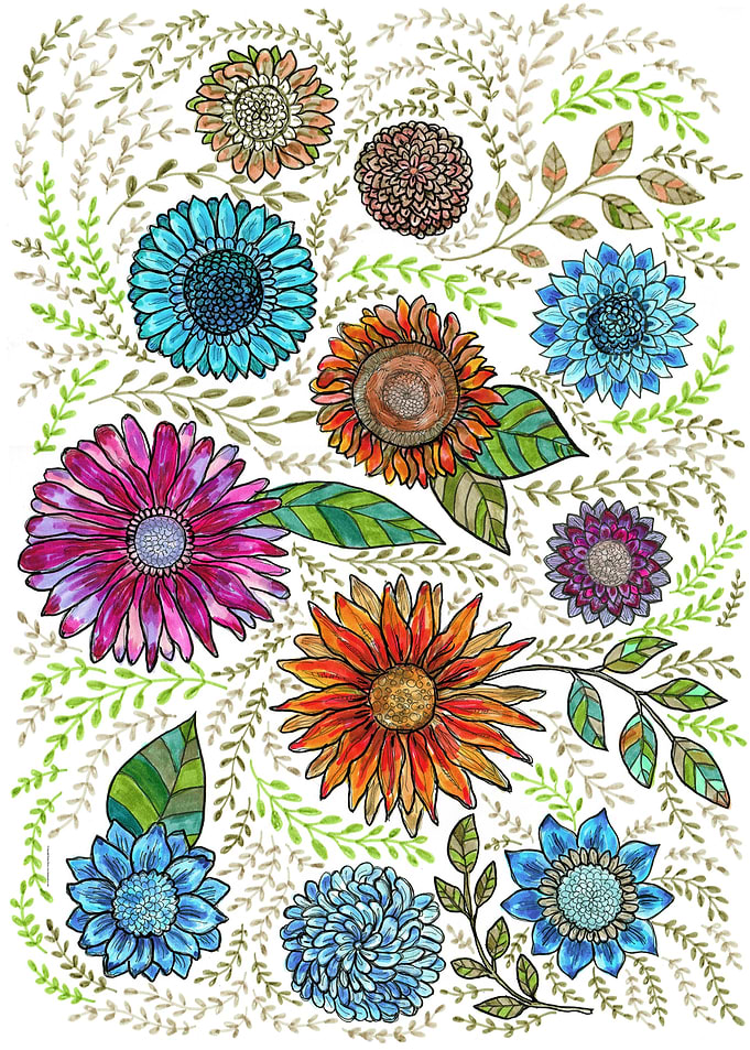 Zinnia flowers