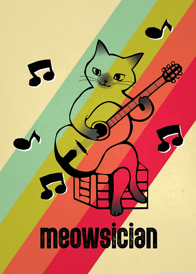 Guitar Solo Cat Funny