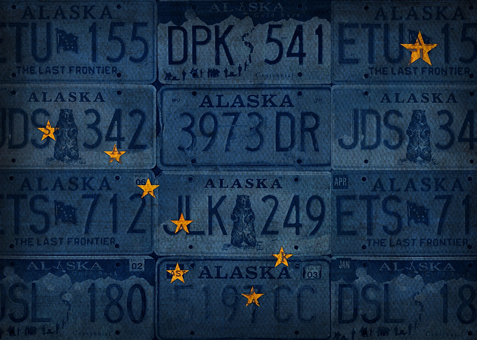 Alaska State Flag Vintage