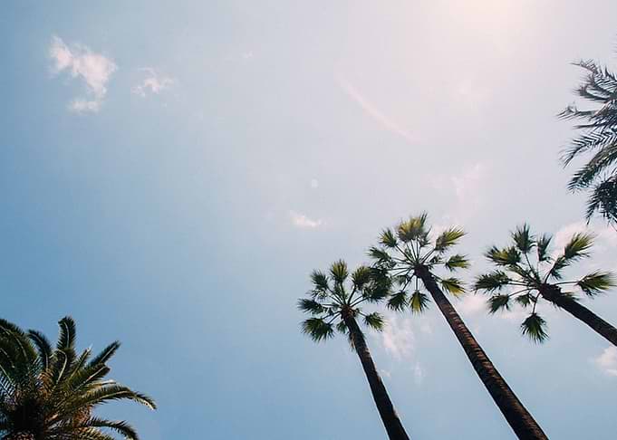 Looking Up