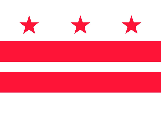 Washington DC Flag