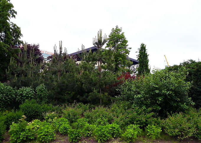 Park vibrance