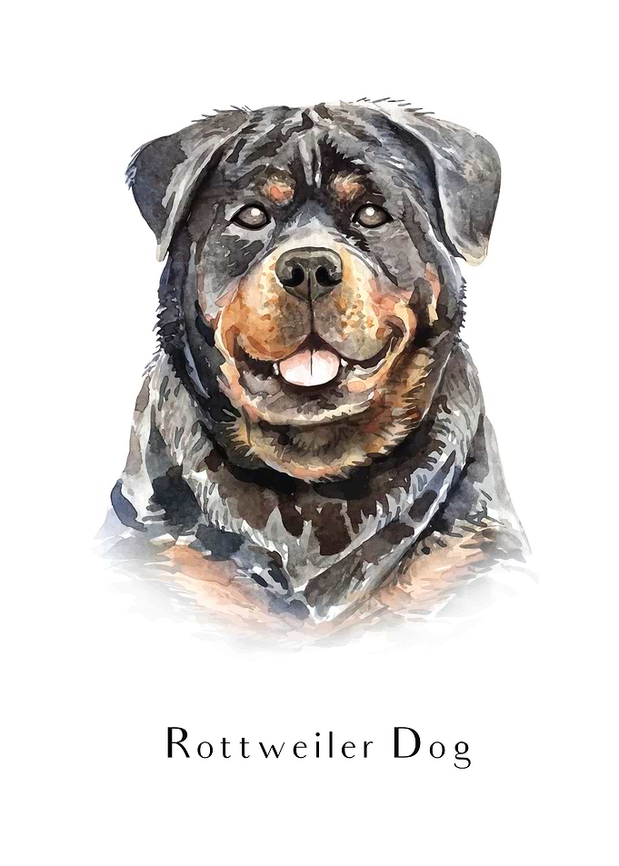 Rottweiler