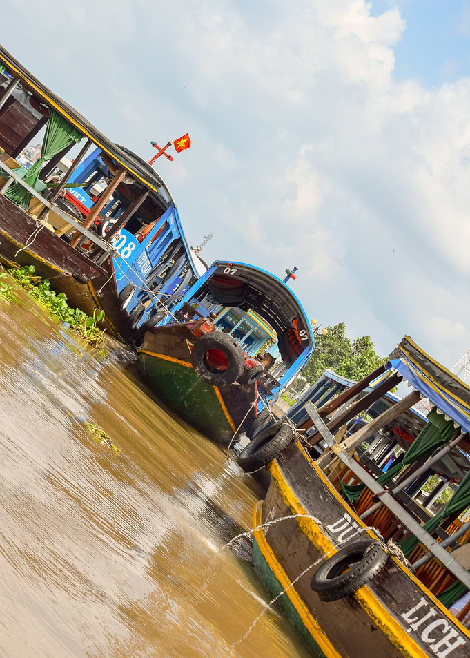 Mekong River Delta