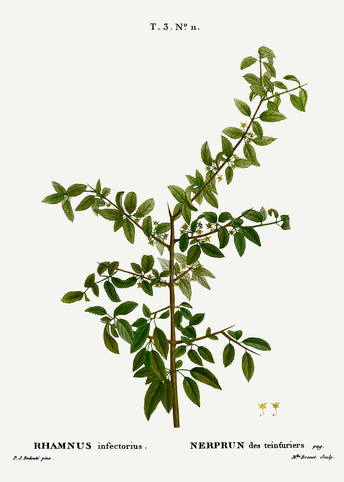 Traite Arbres 1819 HQ Orig