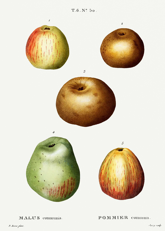 Traite Arbres 1819 HQ Orig