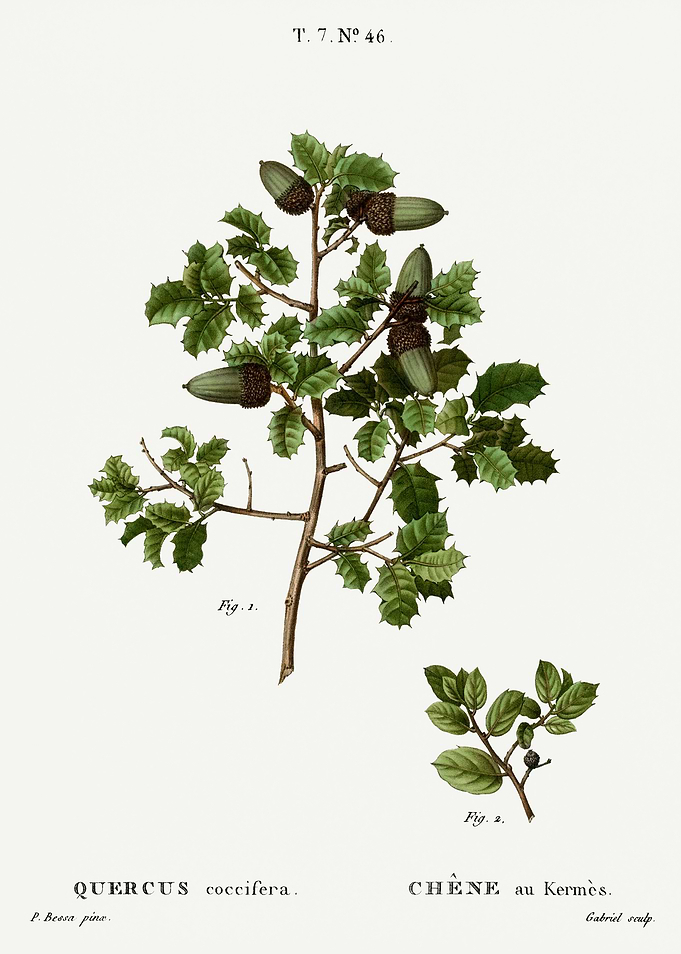 Traite Arbres 1819 HQ Orig
