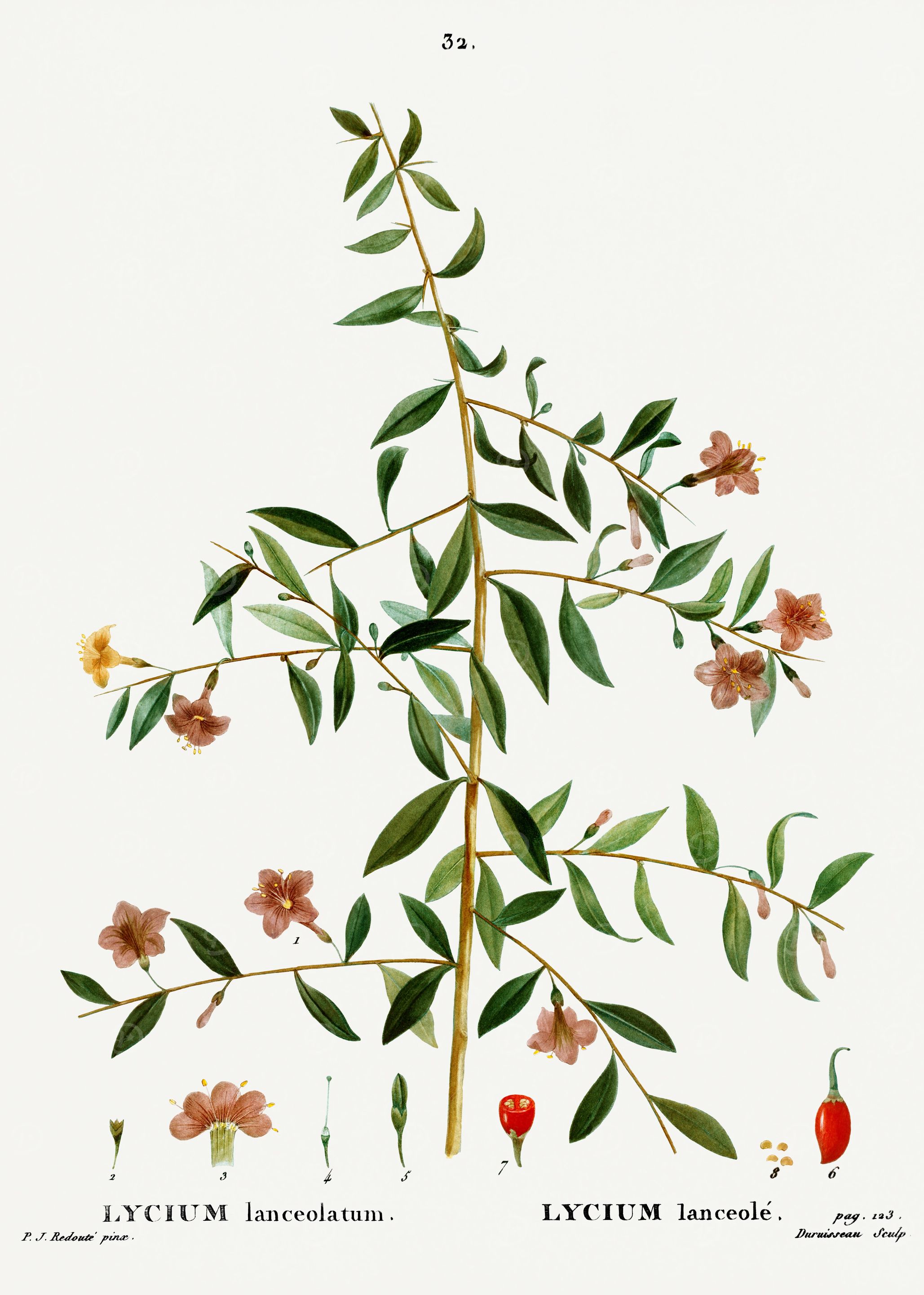 Traite Arbres 1819 HQ Orig