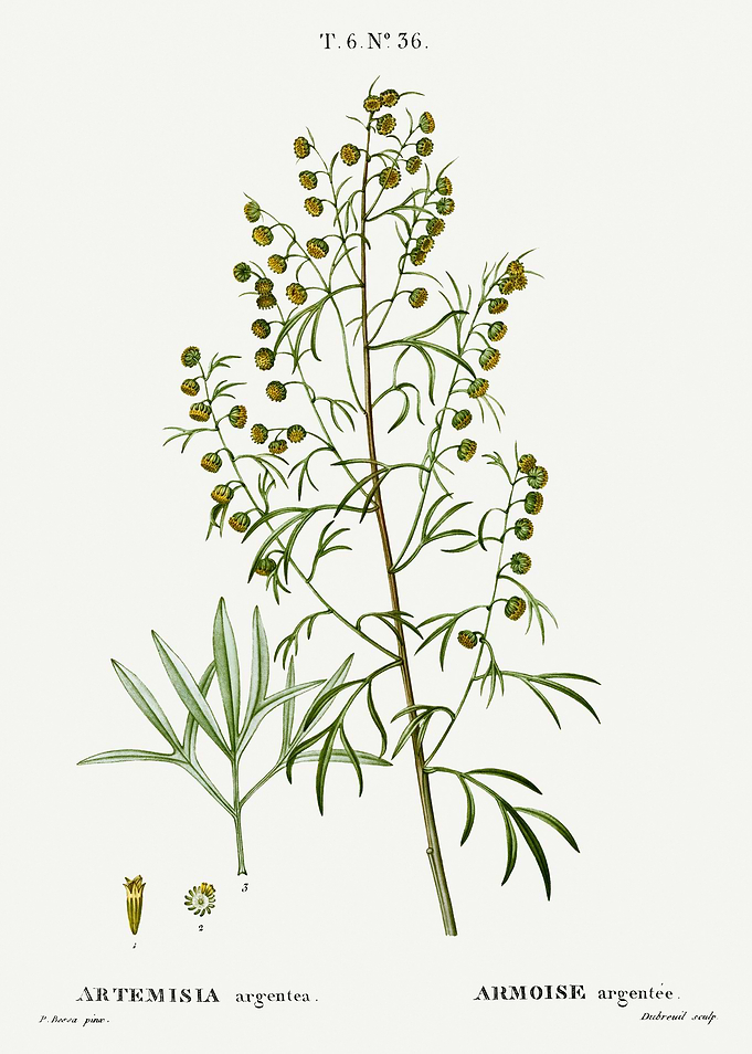 Traite Arbres 1819 HQ Orig
