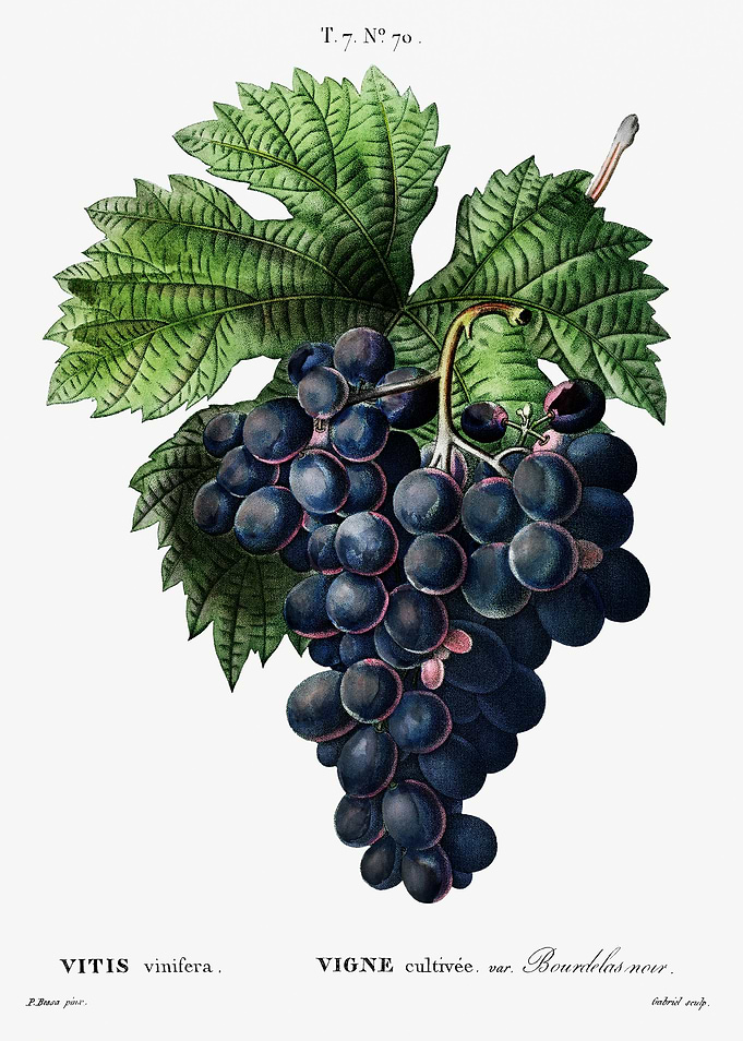Traite Arbres 1819 HQ Orig