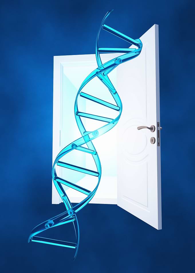 DNA strand