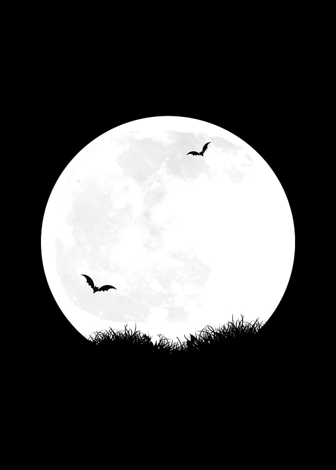Full Moon in Dark