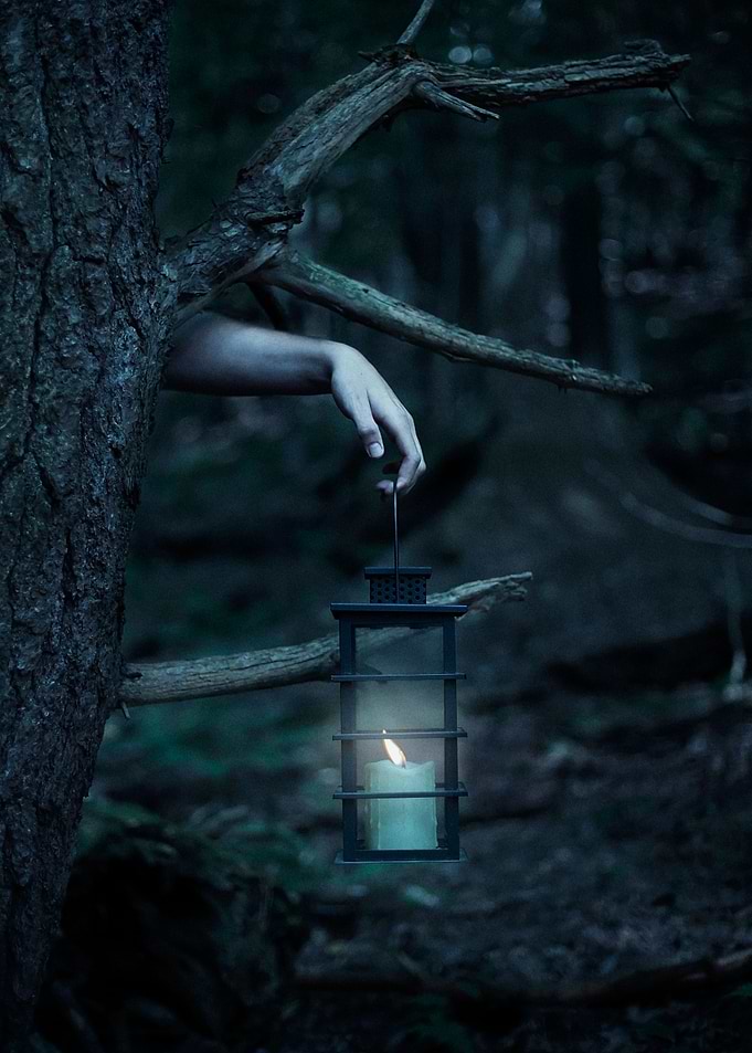 A Light in the Dark