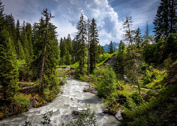 the river