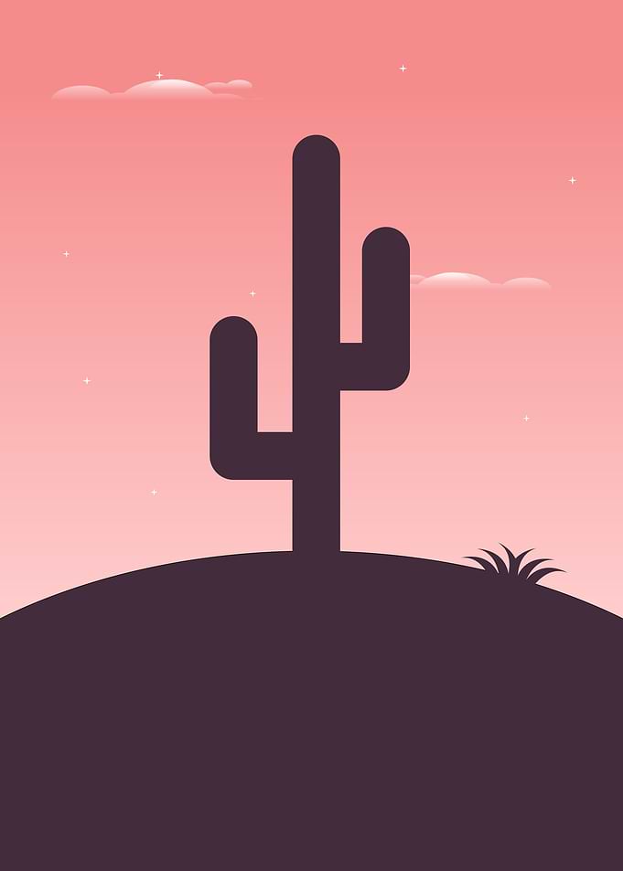 Lonely Cactus
