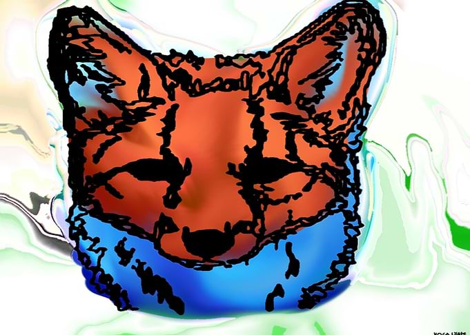 Multi Coloured Fox