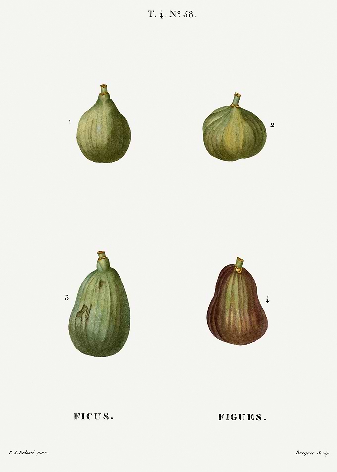 Traite Arbres 1819 HQ Orig