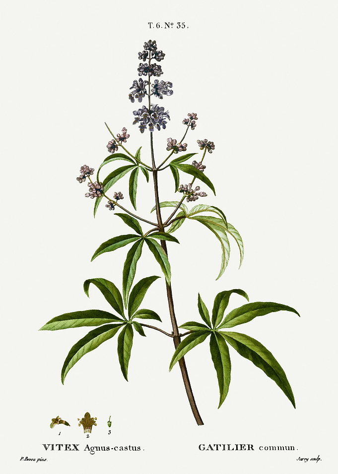 Traite Arbres 1819 HQ Orig