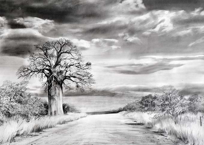 Baobab on Malala Drift