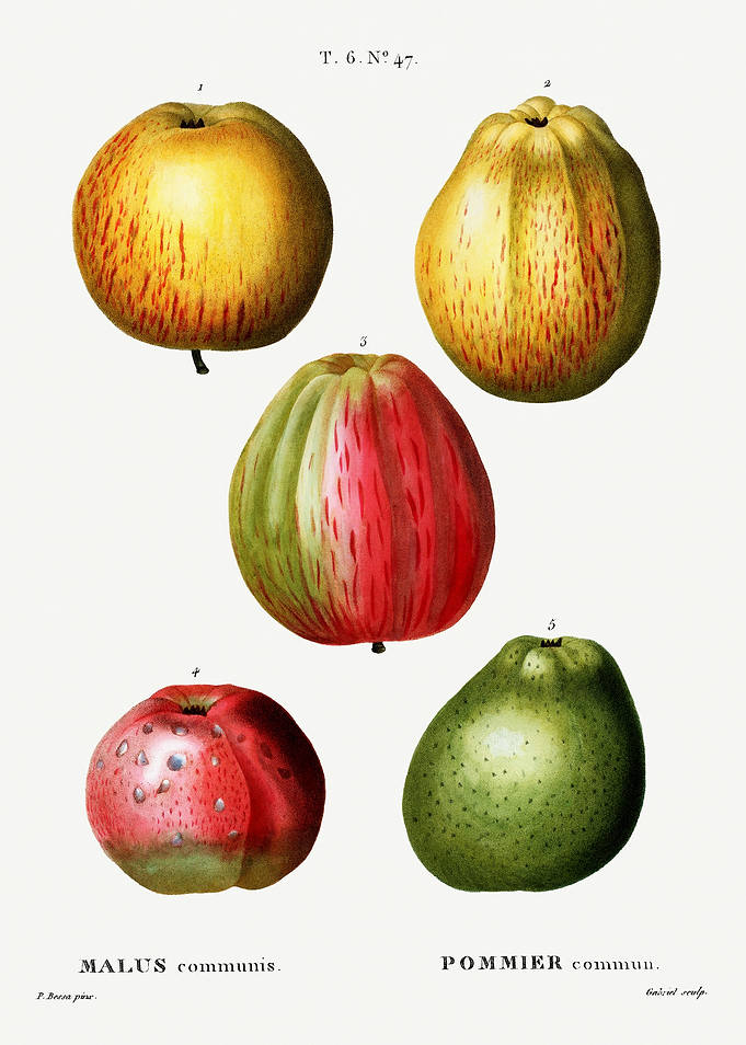 Traite Arbres 1819 HQ Orig