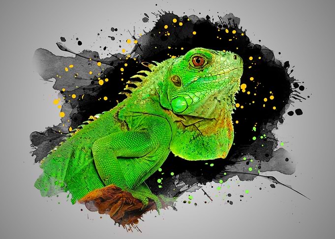 Green Iguana Watercolor