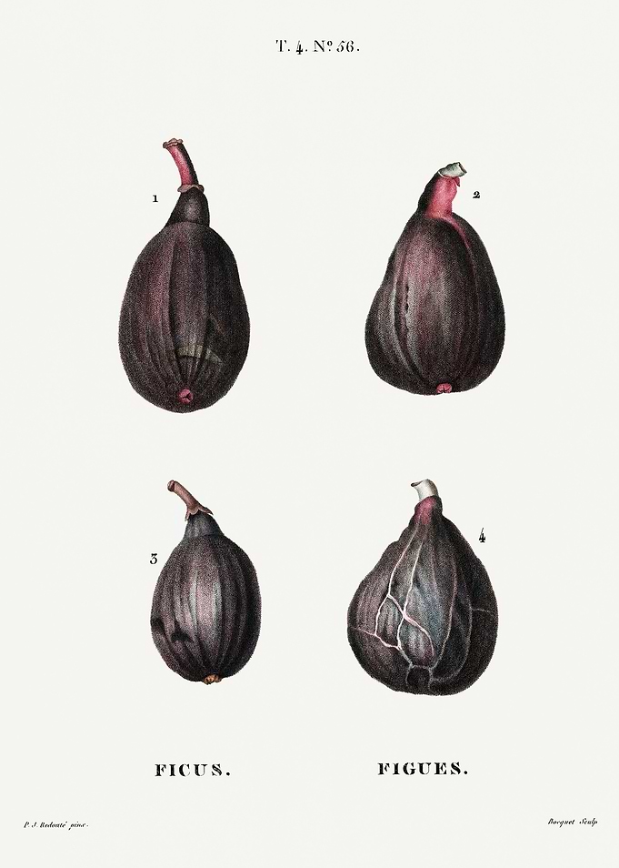 Traite Arbres 1819 HQ Orig