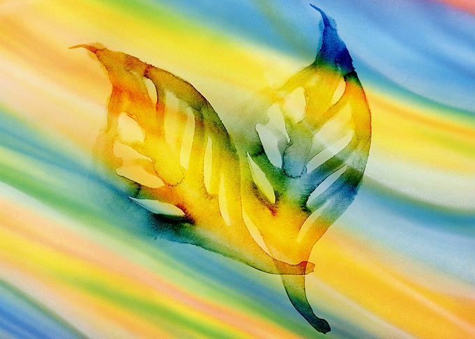Leaves