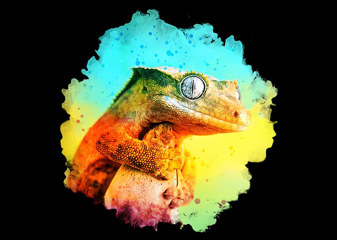 Crested Gecko Watercolor