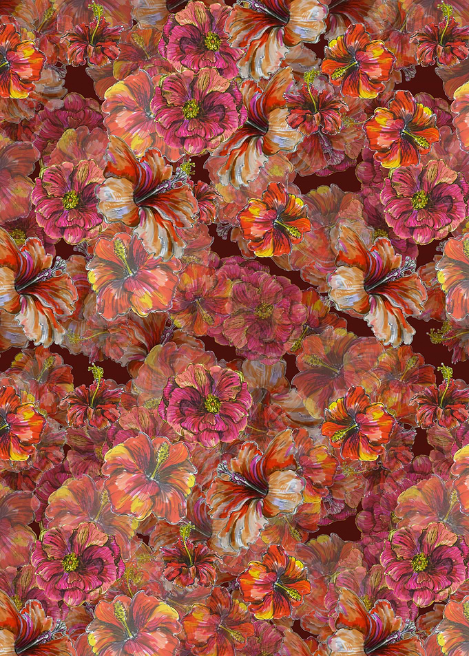 Hibiscus