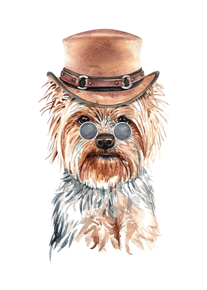 Yorkshire Terrier