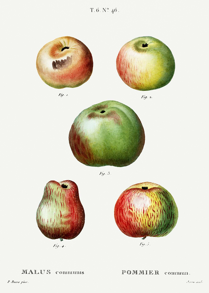 Traite Arbres 1819 HQ Orig