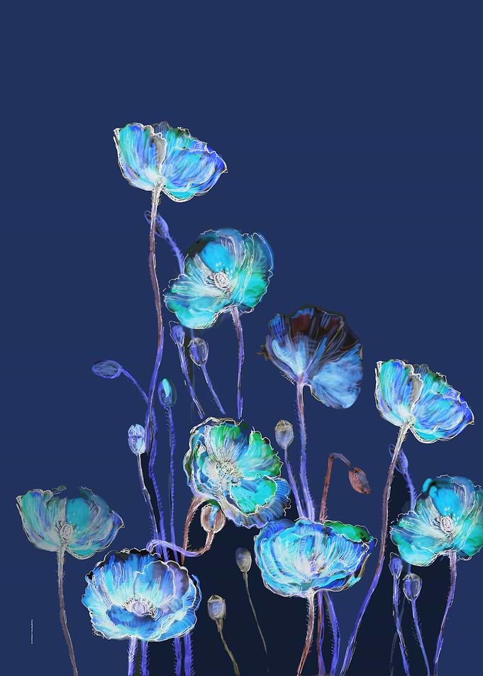 Anemones 8