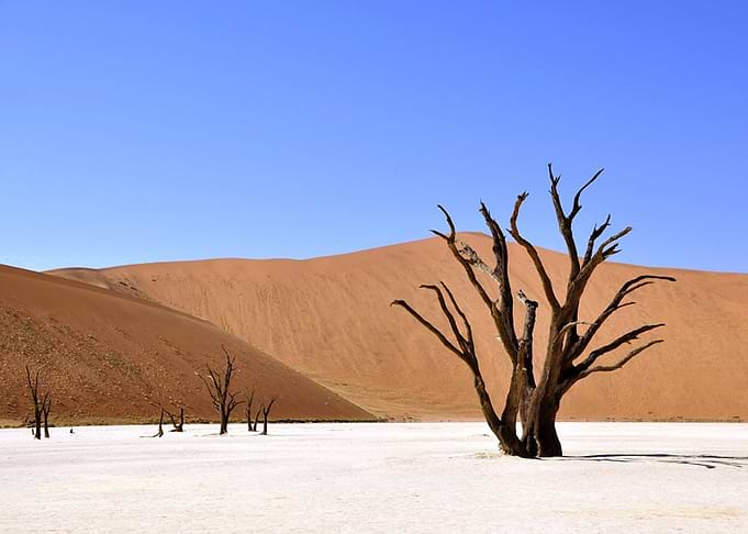 Desert