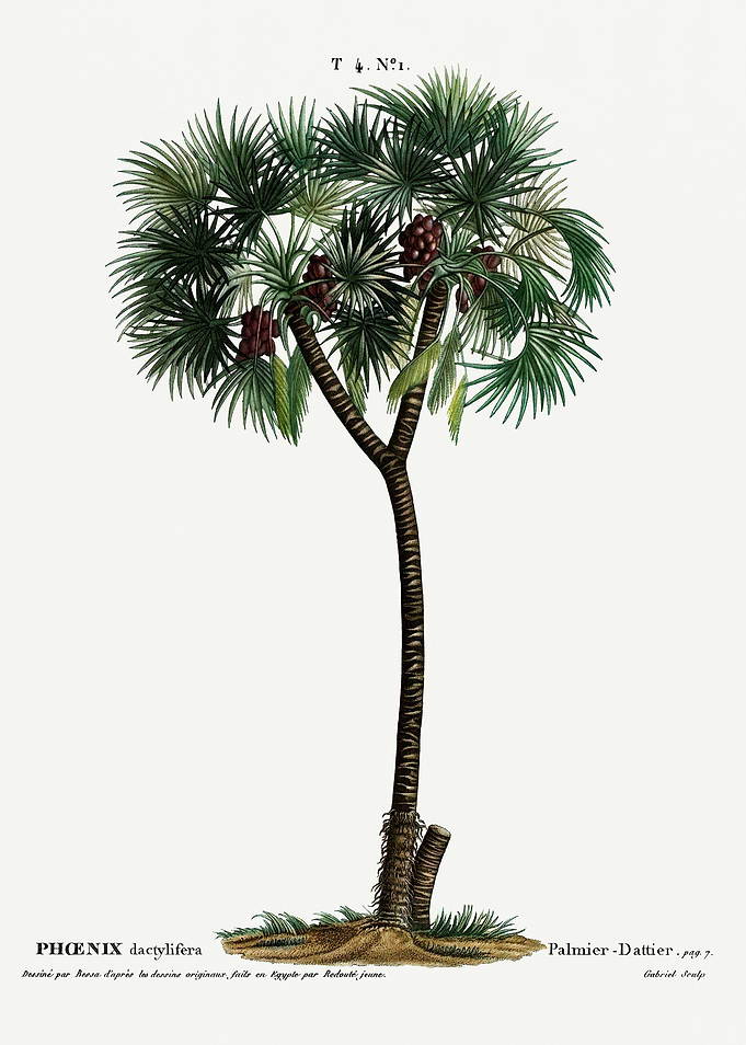 Traite Arbres 1819 HQ Orig