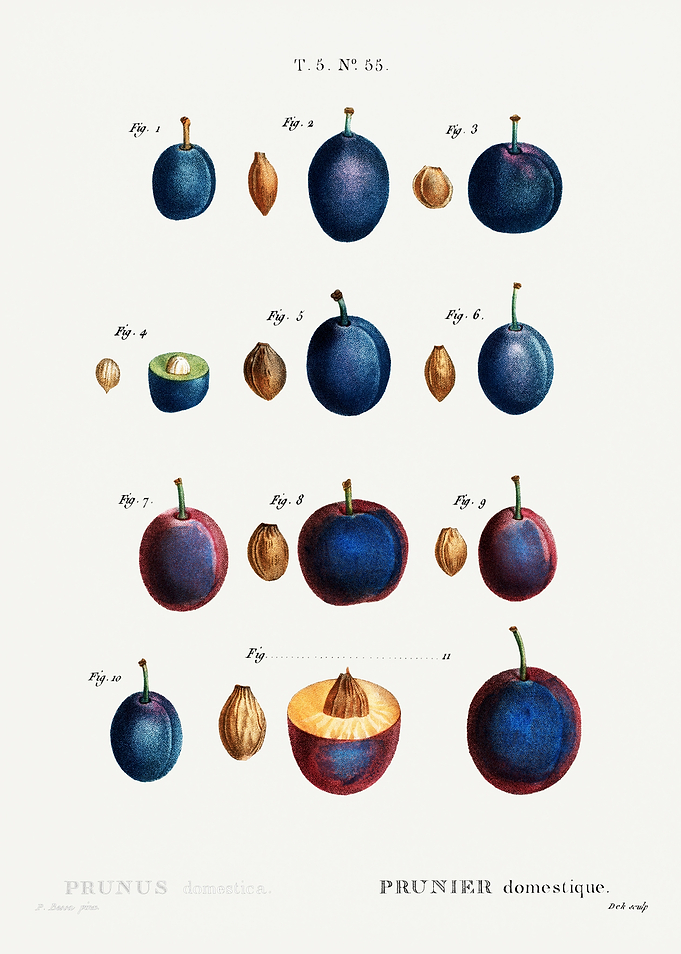 Traite Arbres 1819 HQ Orig