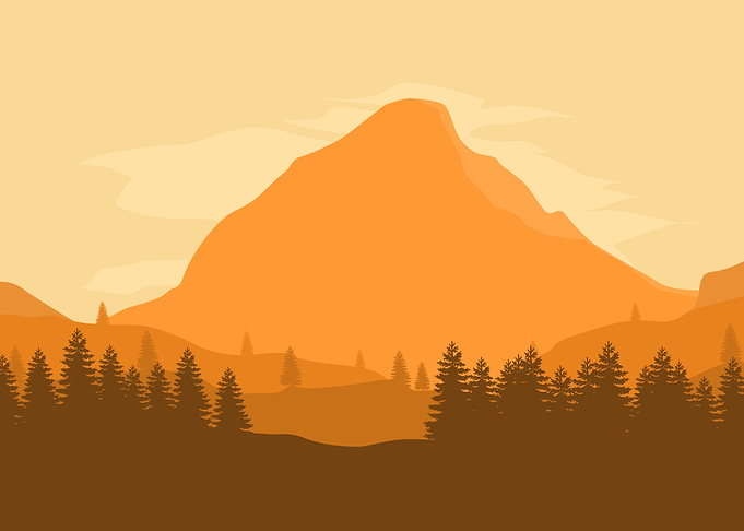 Afternoon Orange Nature