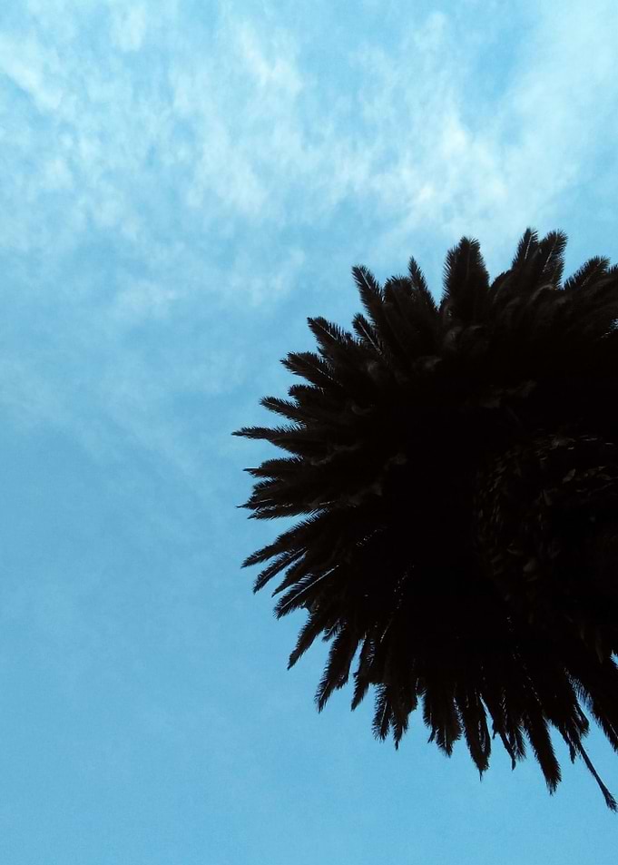 Pop