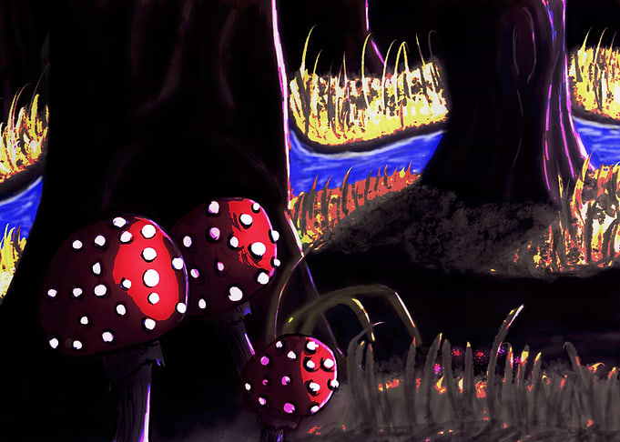 Mushrooms Forest