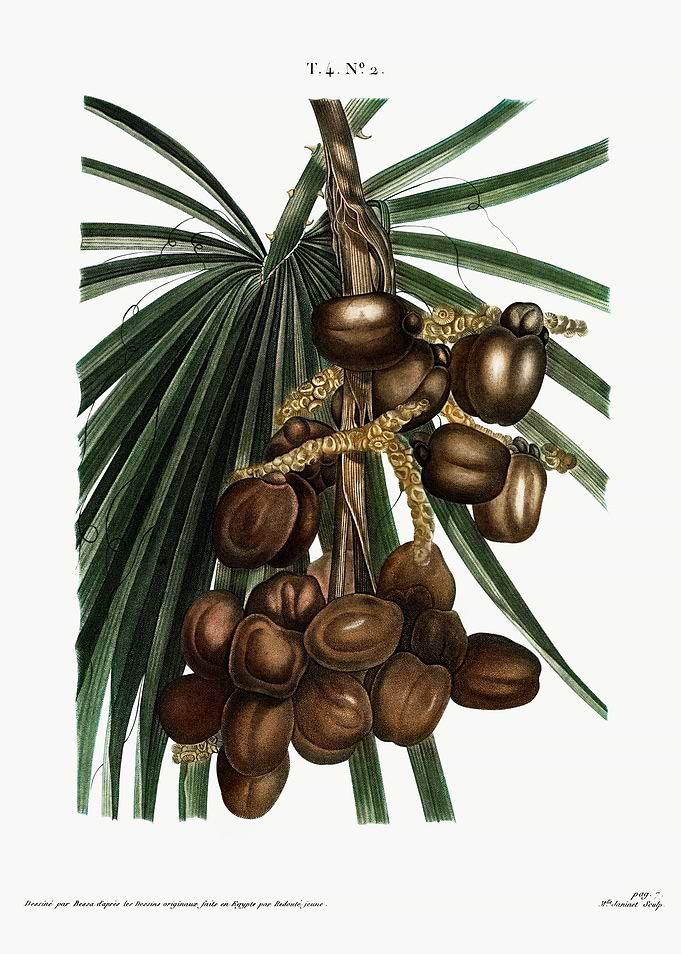Traite Arbres 1819 HQ Orig