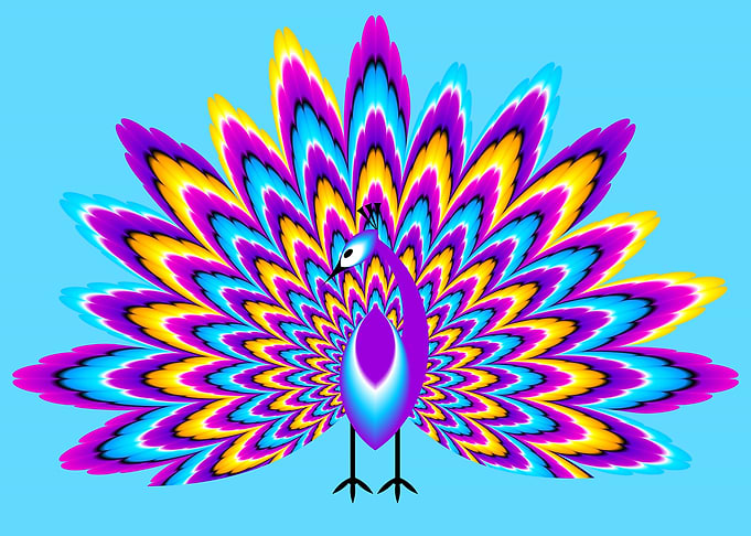 Peacock