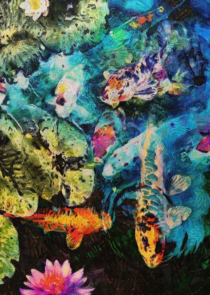 Koi