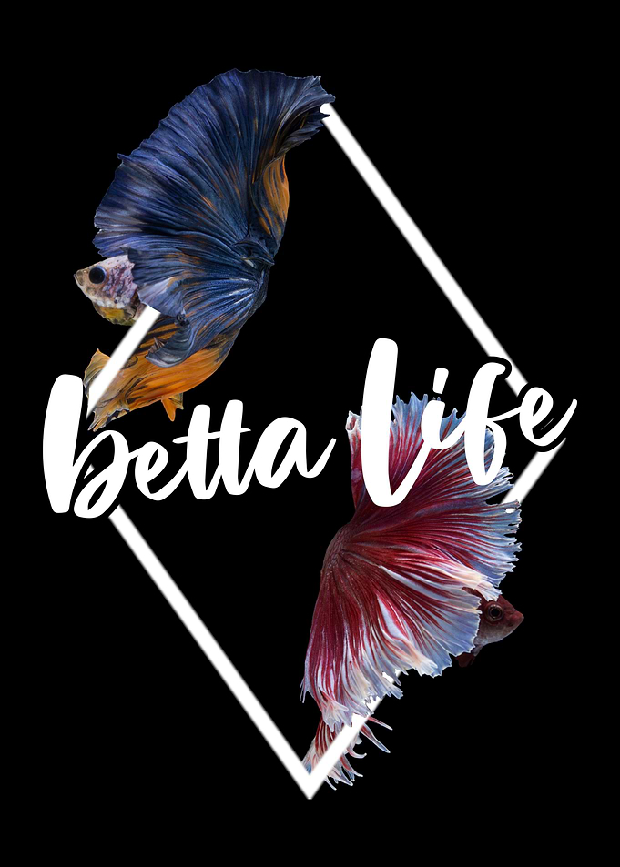 Betta Fish Diamond