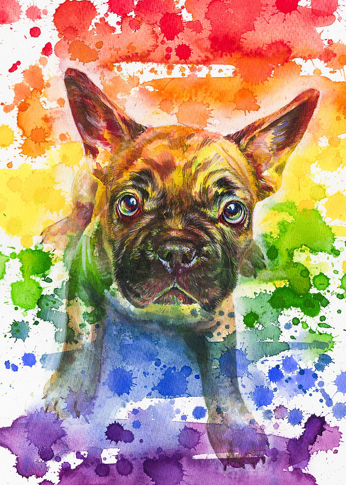 Proud French Bulldog Puppy
