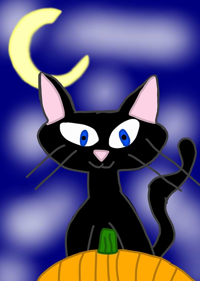 Spooky Cat